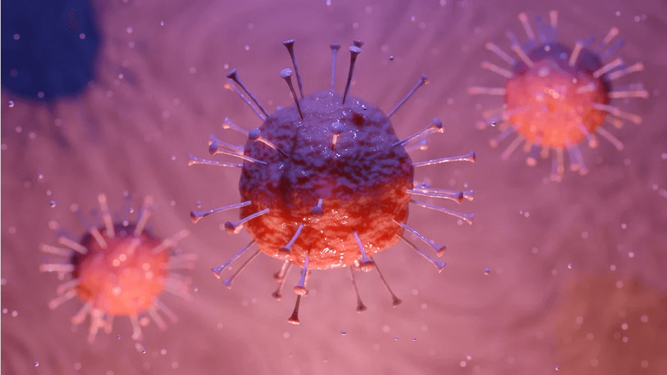 Gambar-Corona-Virus-1