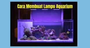 Membuat Lampu Aquarium dari Cas Hp