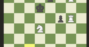 Chess Com Mod Apk